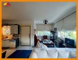 slide1 thumbnail